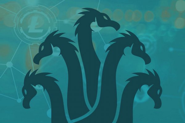 Kraken official