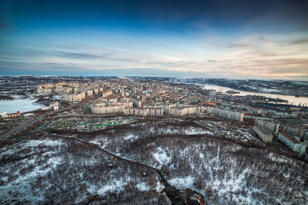 Что за приложение кракен