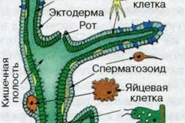 Кракен маркетплейс kr2connect co