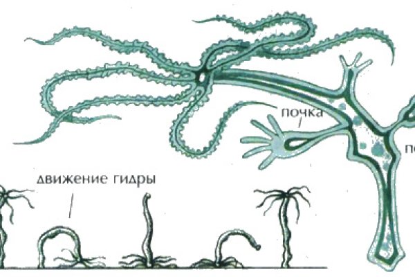 Кракен ссылка на тор официальная онион
