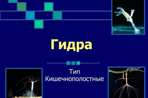Кракен маркетплейс тор