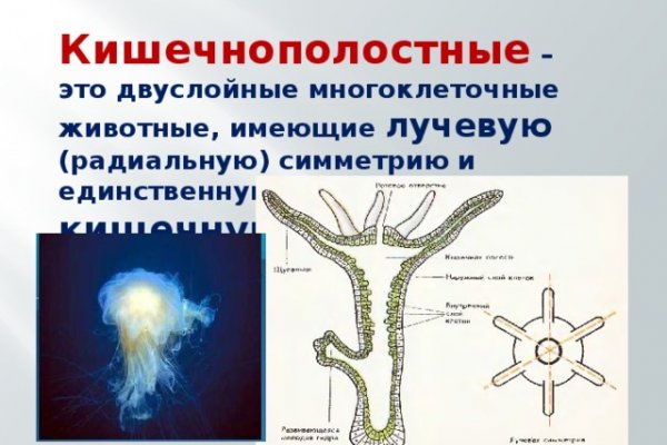 Kraken официальные зеркала