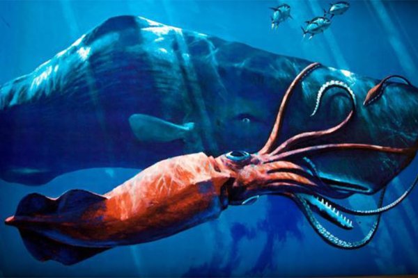 Kraken официальный сайт ссылка через tor