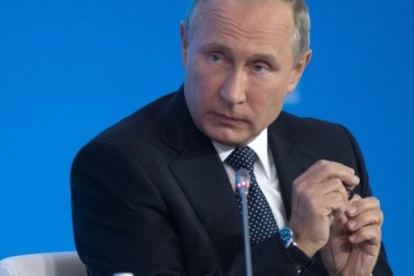 Гидра и кракен