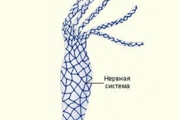 Kraken актуальные зеркала krakentor site