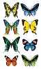Разноцветные бабочки DIVINO ST-0043 30*50 см